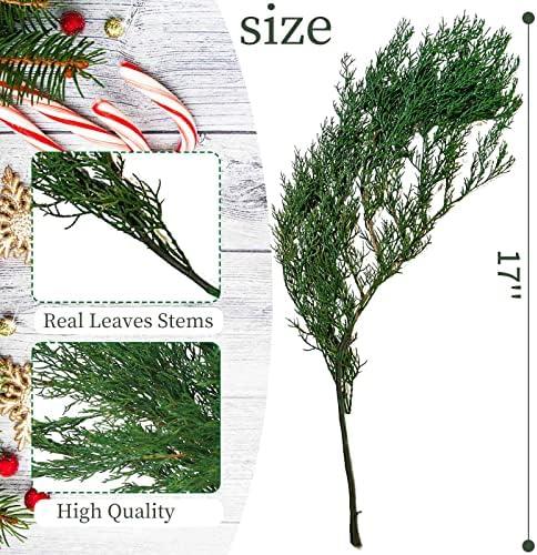 -38% off,Embrace Natural Elegance with 4OZ Preserved Real Pine Leaves Branches