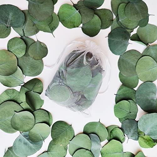 -38% off,Elevate Your Decor with Dried Real Eucalyptus Leaves: A Natural and Elegant Touch for Every Occasion