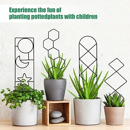 -25% off,Elevate Your Plant’s Growth with Our Stylish Plant Trellis – A Must-Have for Indoor and Outdoor Plant Lovers