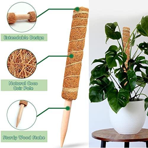 -25% off,Elevate Your Indoor Jungle with Moss Pole Monstera Plant Support