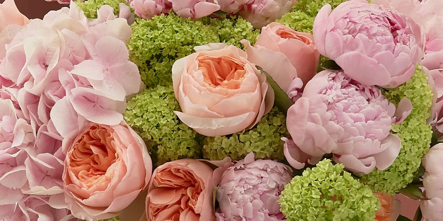 Mastering the Art of Floral Arranging: Balance, Color, and Texture